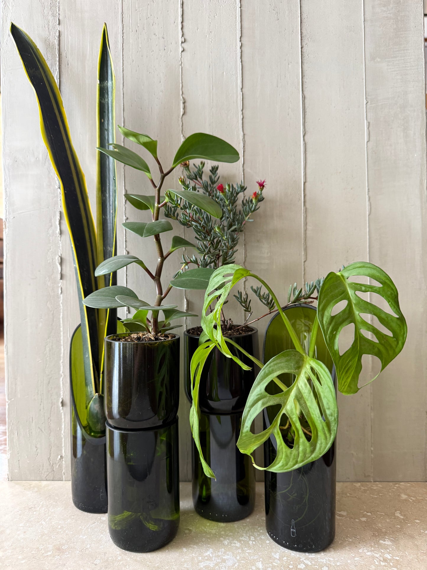 Materas para orquídeas y otras plantas