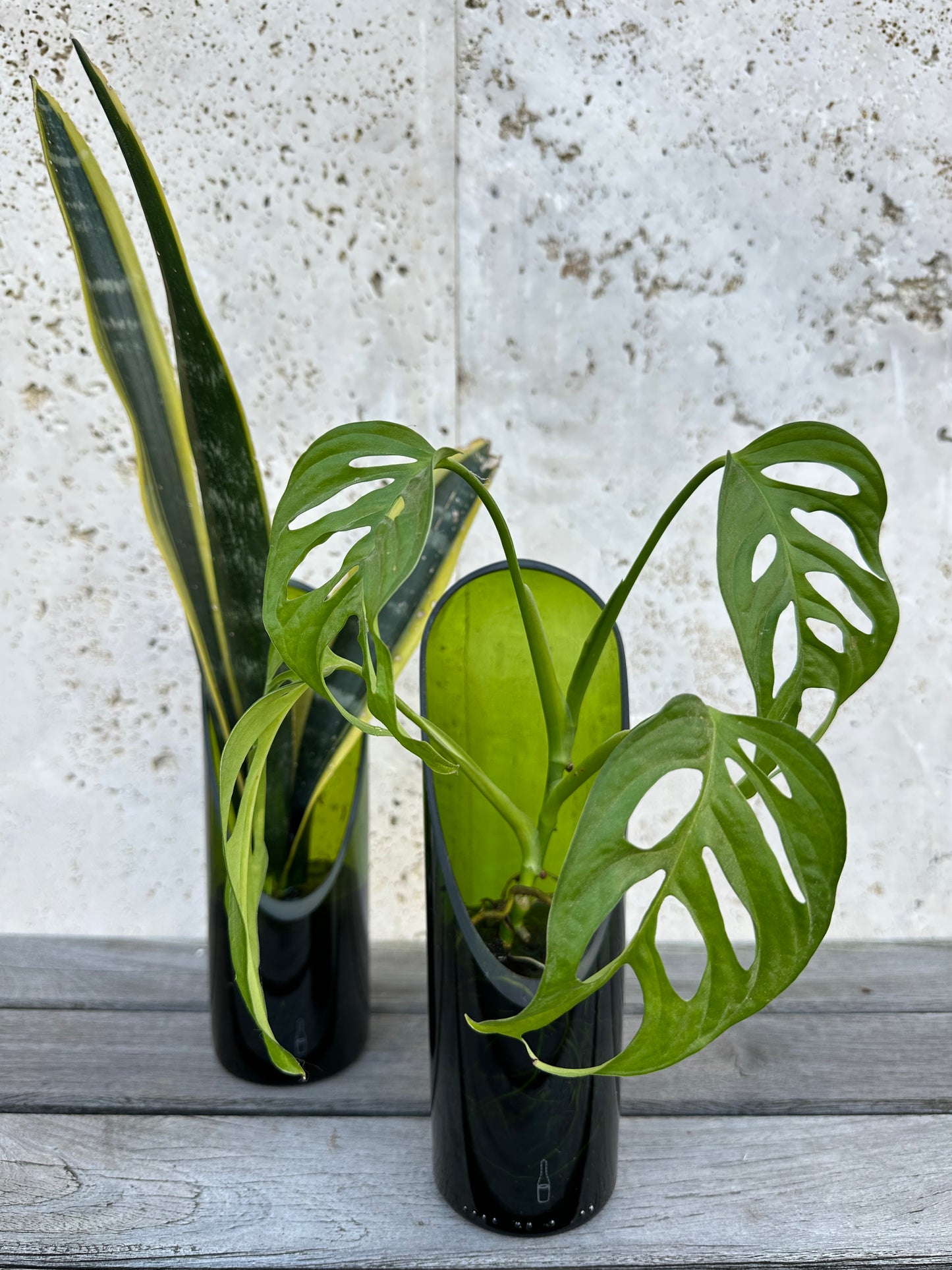 Materas para plantas de agua