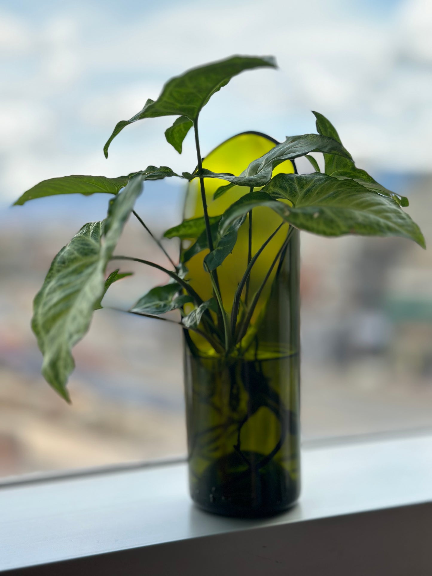Materas para plantas de agua