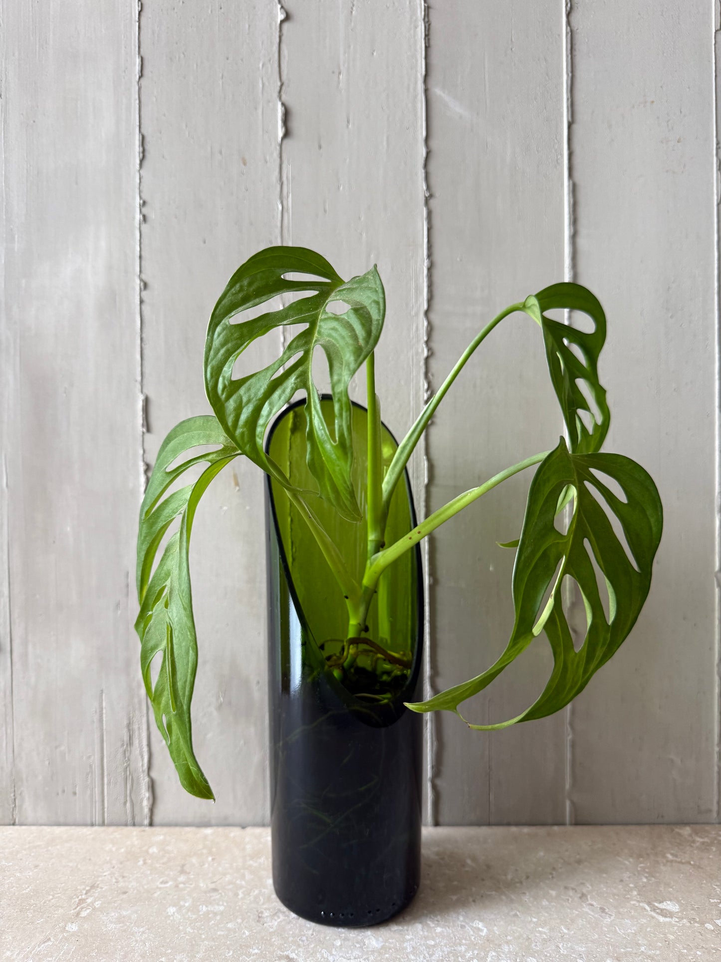 Materas para plantas de agua