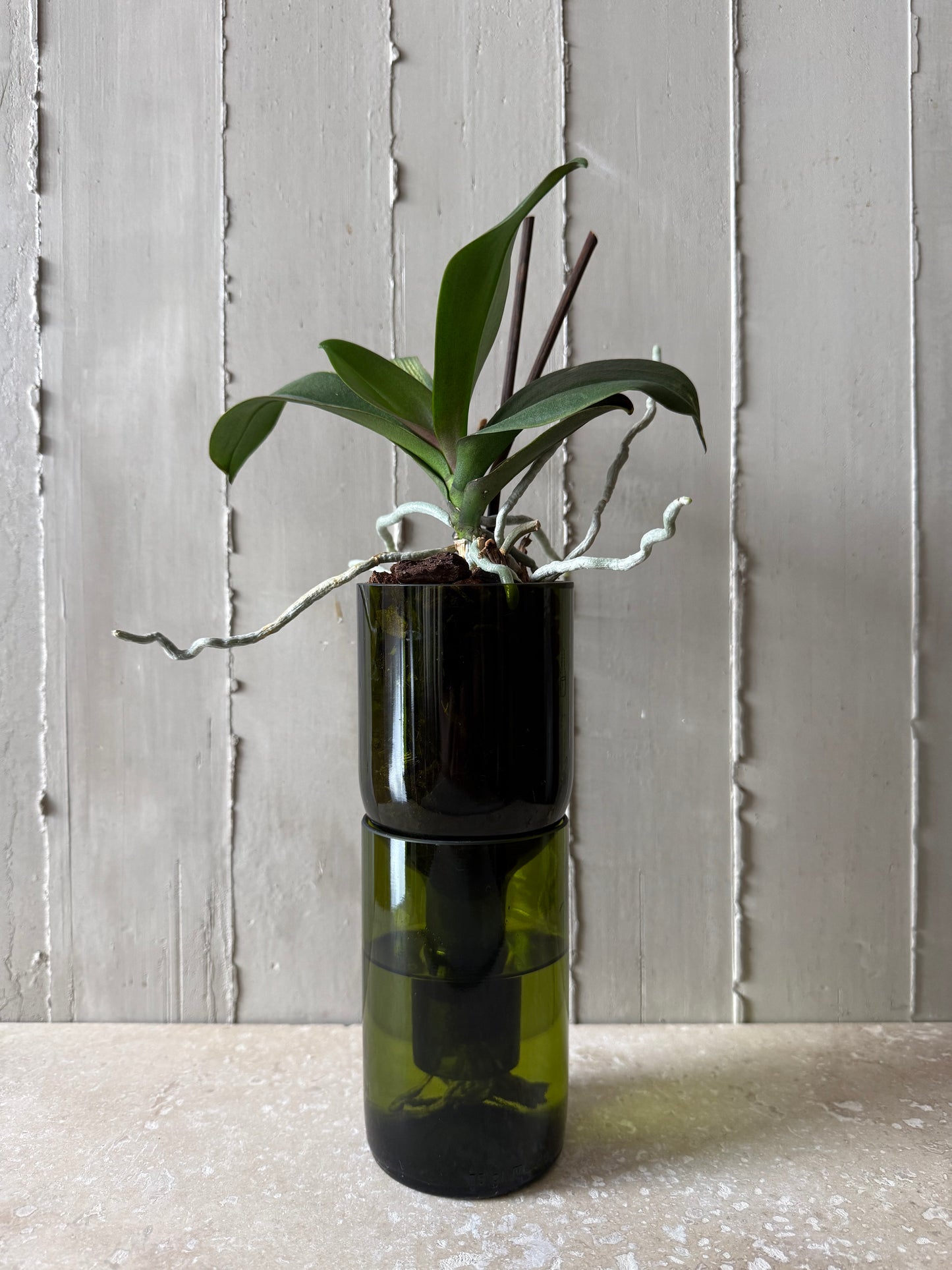 Materas para orquídeas y otras plantas