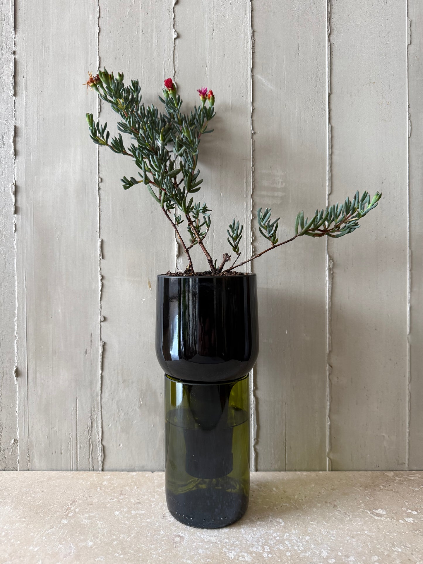 Materas para orquídeas y otras plantas