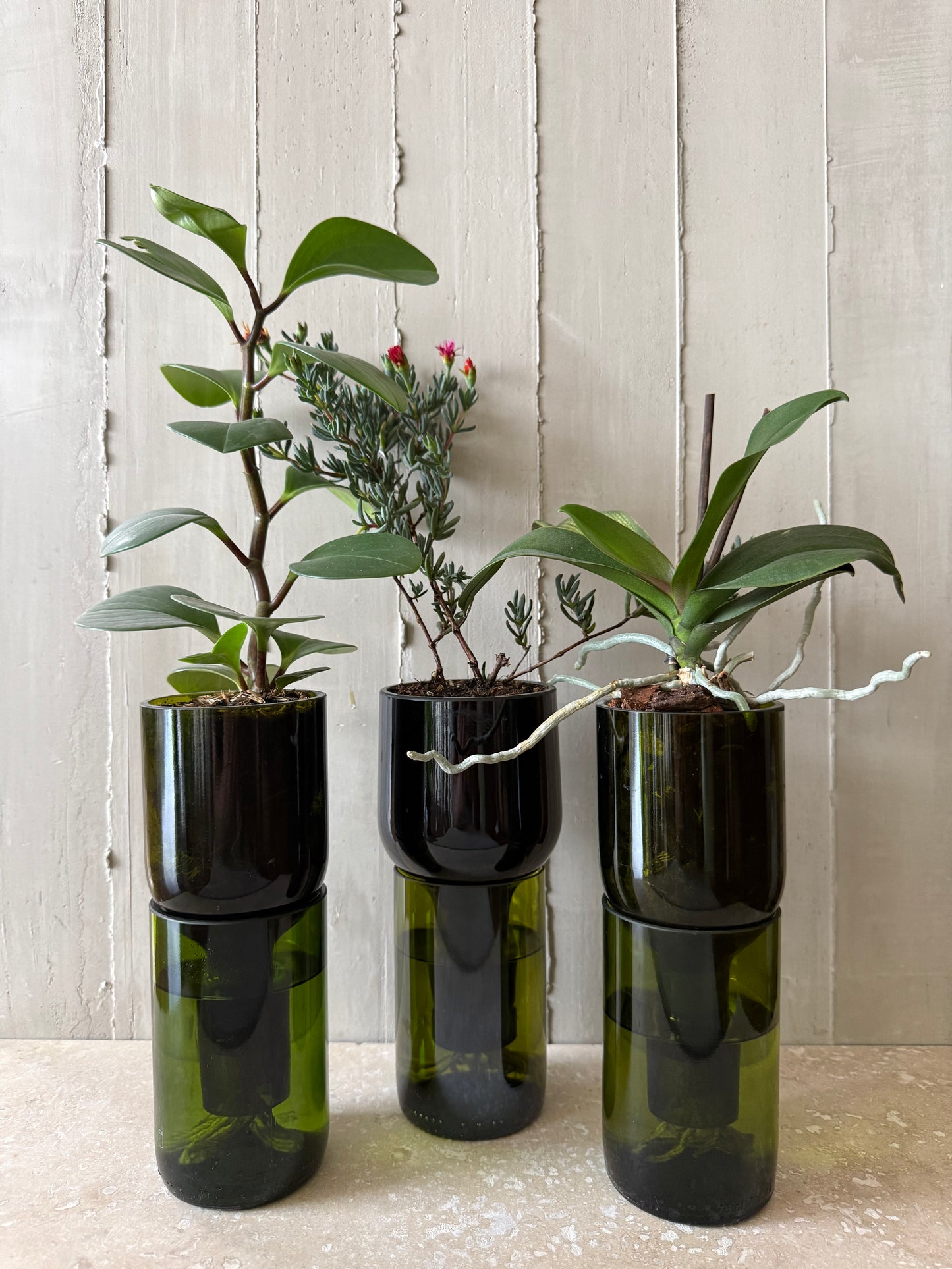 Materas para orquídeas y otras plantas