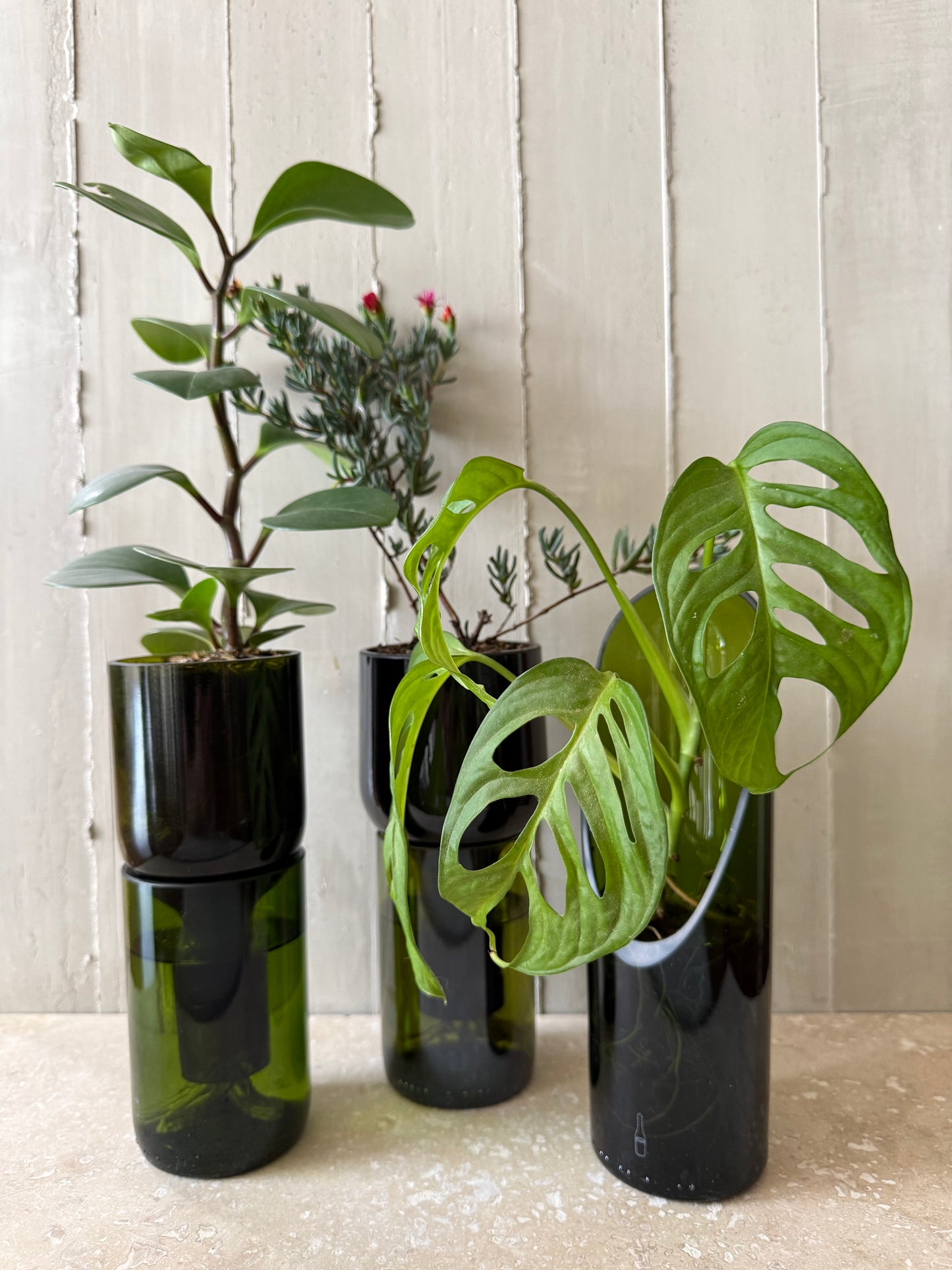 Materas para orquídeas y otras plantas