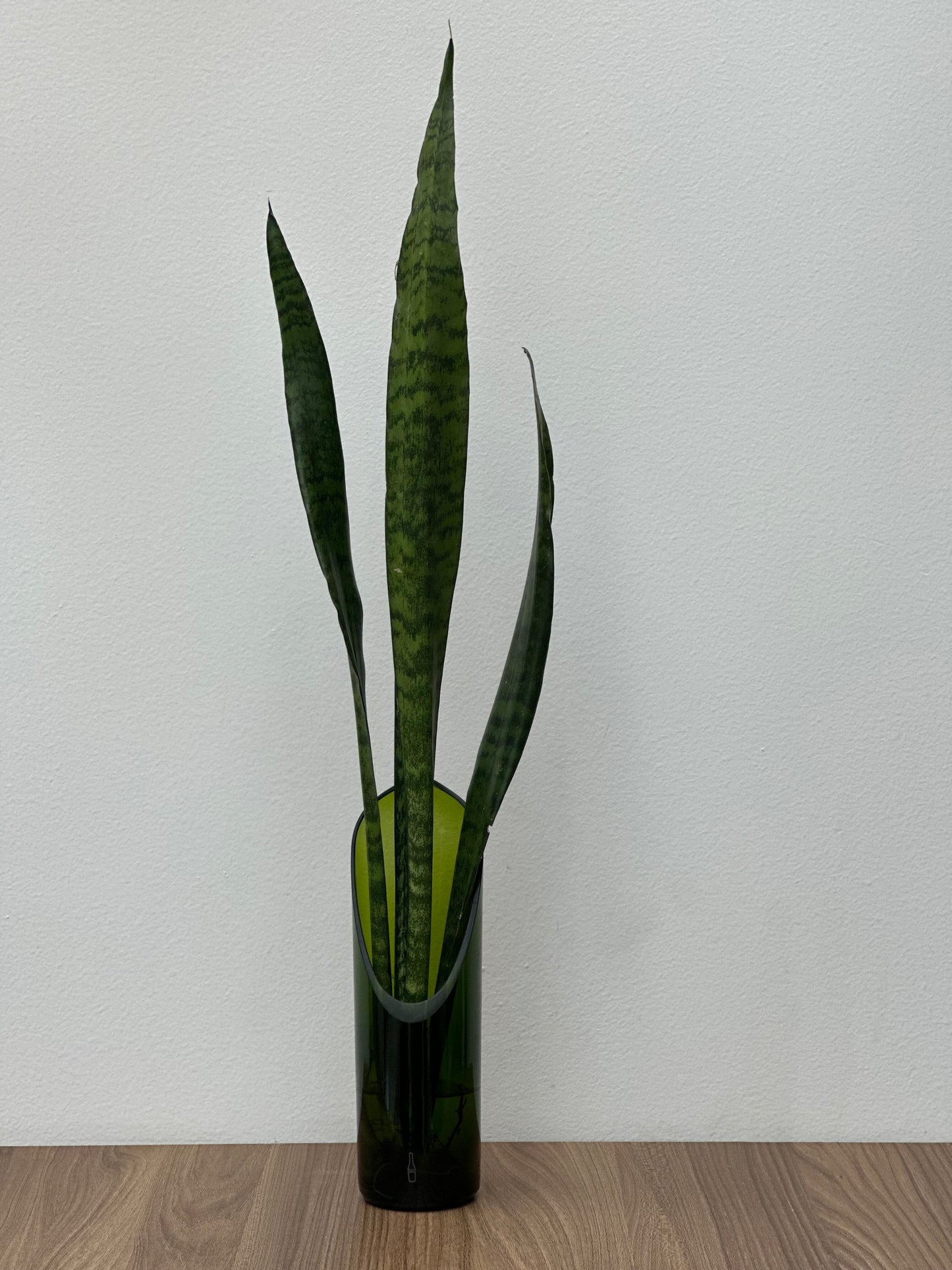 Materas para plantas de agua