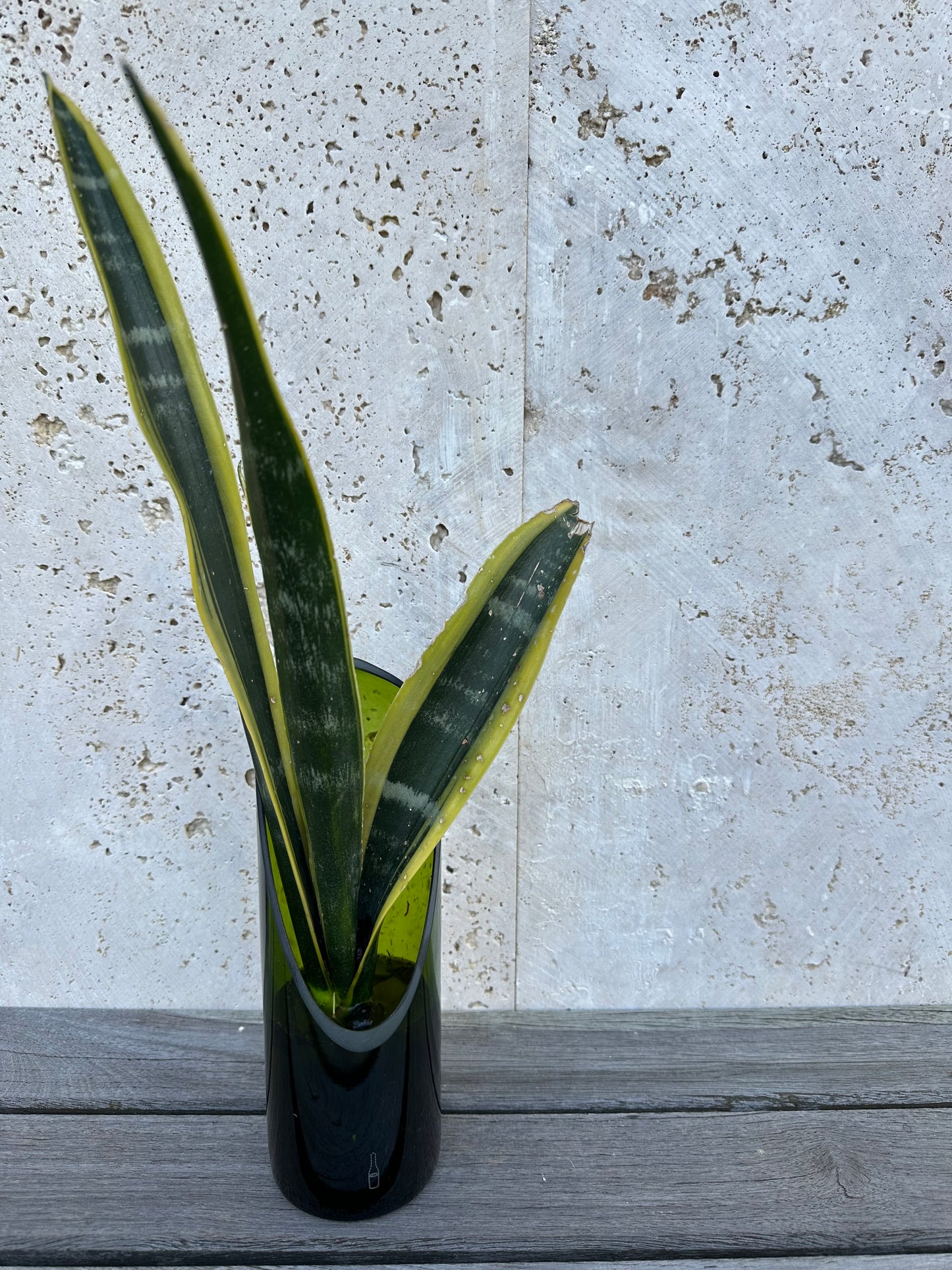 Materas para plantas de agua