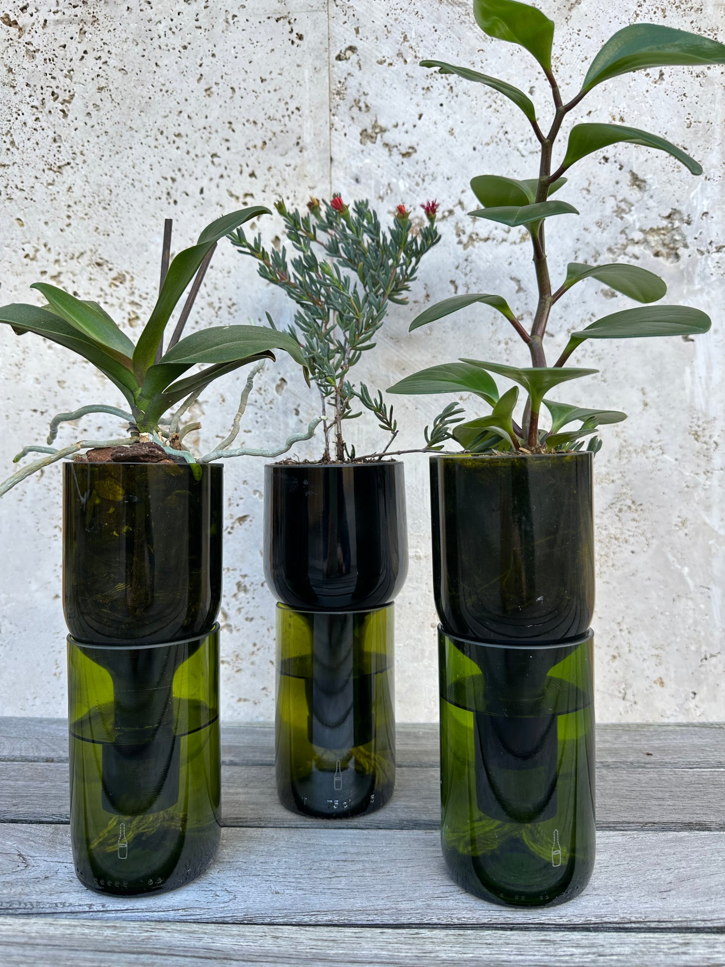Materas para orquídeas y otras plantas